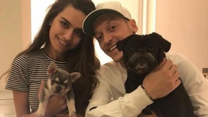 Mesut Özil nişanlısı Amine Gülşe'nin doğum gününü kutladı