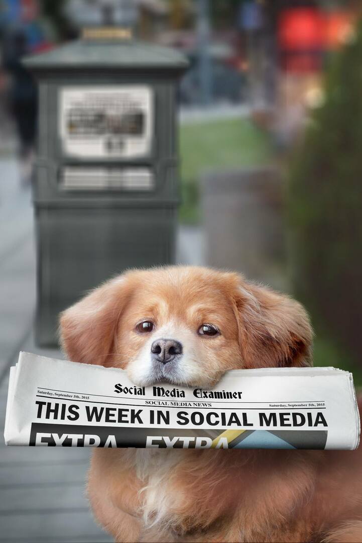 sosyal medya denetçisi haftalık haber 5 eylül 2015