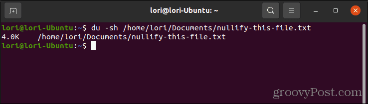Linux'ta bir dosyanın boyutunu kontrol etmek için du komutunu kullanma
