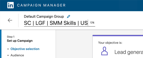 LinkedIn kampanya adının ekran görüntüsü 'SC | LGF | SMM Becerileri | BİZE'