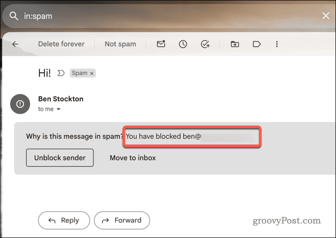 Gmail'de engellenen bir e-posta örneği