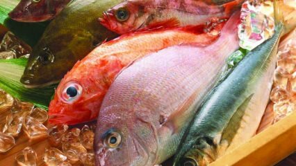 Balığın faydaları nelerdir? Balık en sağlıklı nasıl tüketilir?