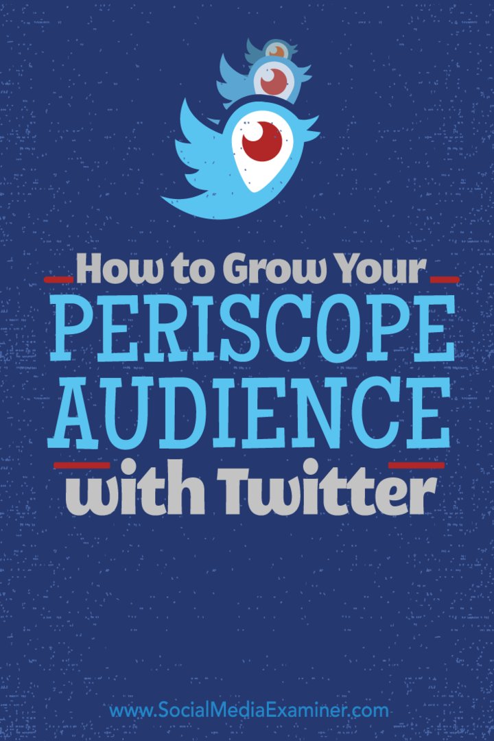 Twitter ile Scope Kitlenizi Nasıl Büyütün: Sosyal Medya Denetçisi