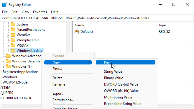WindowsUpdate Yeni Anahtar