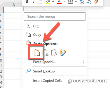 excel yapıştır