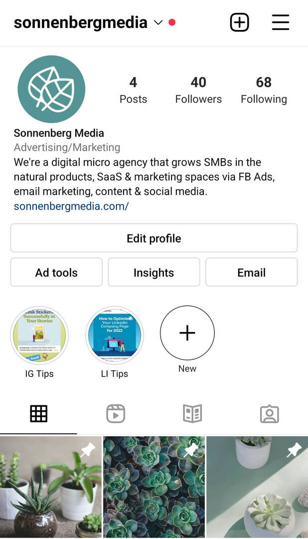 instagram-post-makaralar-sabitleme-özellikleri-sonnenbergmedia-example-1