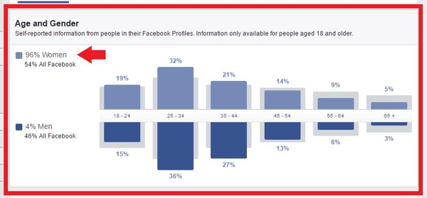 Hedef kitleniz için Audience Insights verilerini analiz edin.