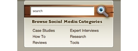 sosyal medya denetçisi kategorileri 2009