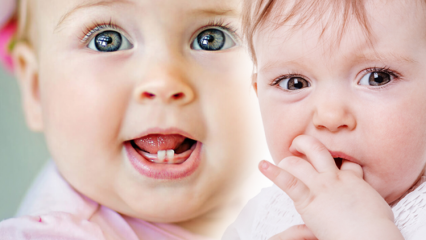 Bebeklerde diş çıkarmaya ne iyi gelir? İlk diş ne zaman çıkar, belirtileri neler? Ateşlenme...