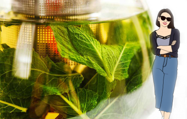 sindirimi kolaylaştıran bitki çayı tarifi