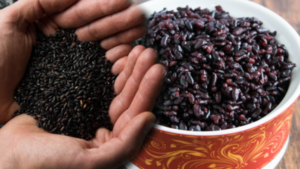 Siyah pirincin faydaları nelerdir? Siyah pirincin diğer isimi nedir? Siyah pirinç nasıl tüketilir?