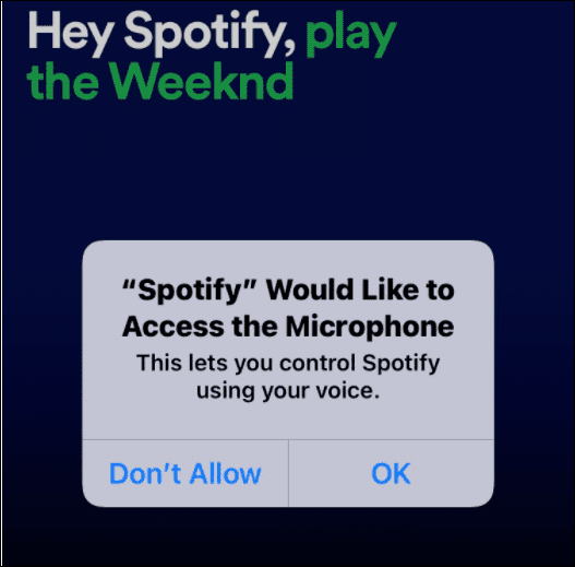 mikrofona spotify erişimi ver