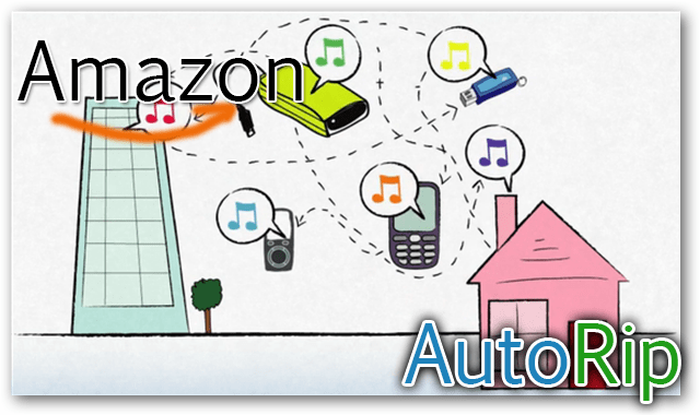 Amazon, CD 'AutoRip' Satın Alımları İçin Vinil Ekliyor