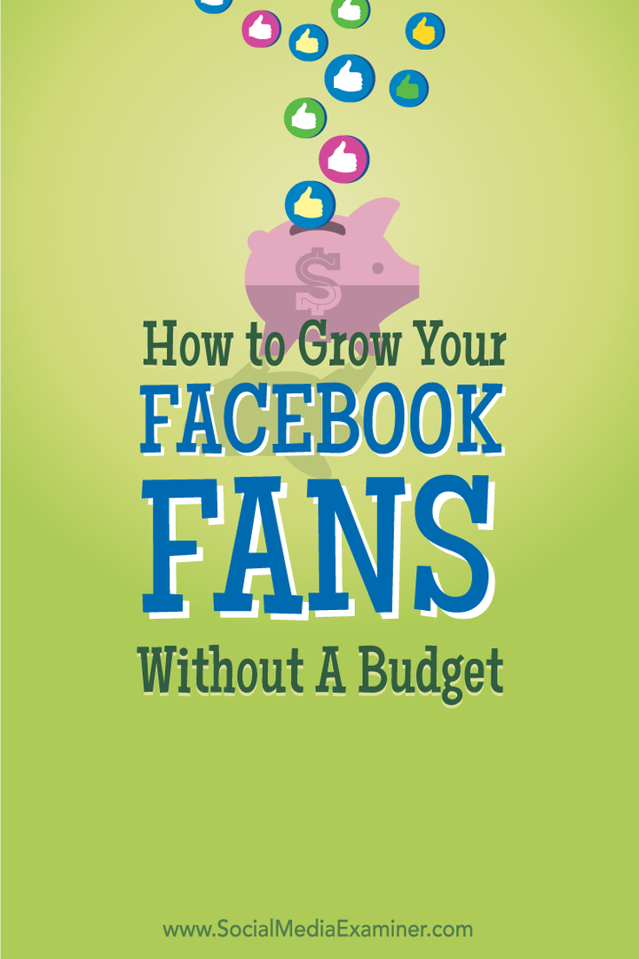 facebook hayranlarını bütçe olmadan nasıl büyütebilirim