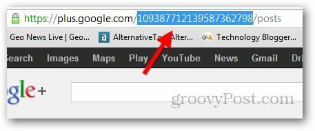 Google Artı Kısa URL 1