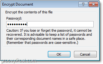 Office 2010 belgeniz için bir şifre oluşturun
