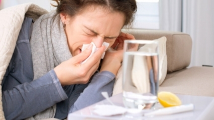 Soğuk algınlığı ve gribe iyi gelen besinler nelerdir? Gribi önleyen 5 besin...
