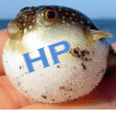 HP bloatware bilgisayarınızı yavaşlatır, düzeltmenize izin verir