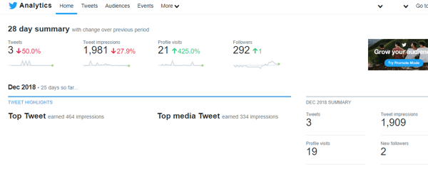28 günlük Twitter Analytics özeti örneği.