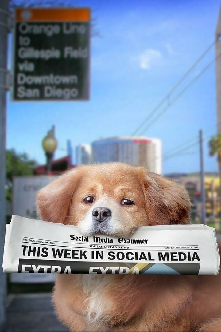 Periscope Twitter'da Yerel Olarak Yayınlar: Sosyal Medyada Bu Hafta: Sosyal Medya Denetçisi