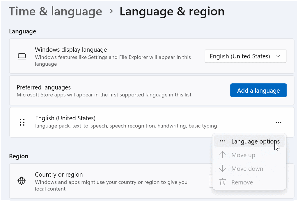  dil seçenekleri, Windows 11'de özel karakterler yazın