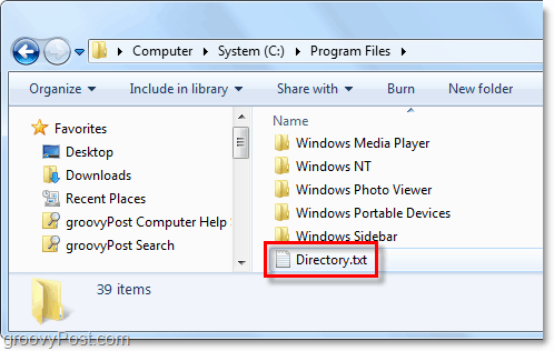 Windows sisteminizde bir directory.txt dosyası oluşturulur
