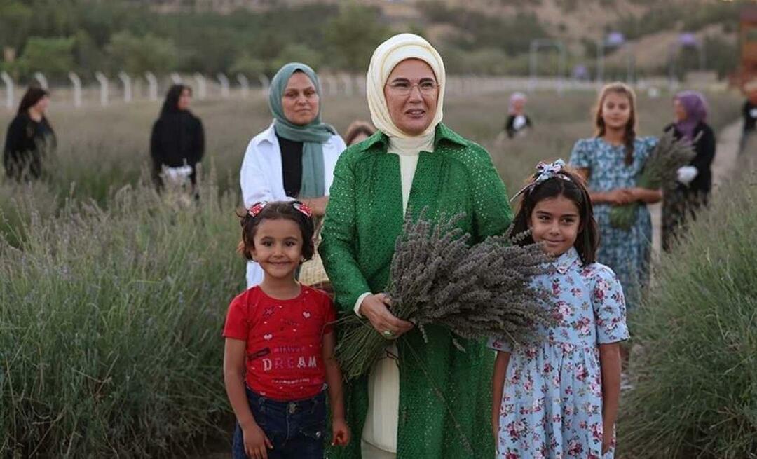 Emine Erdoğan, Ankara'da Ekolojik Köy ziyareti ve lavanta hasadı yaptı