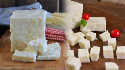 Ezine peyniri nedir ve nasıl anlaşılır? Ezine peyniri tarifi