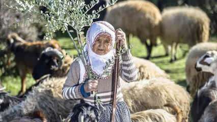 Fatma teyze Amanos Dağları eteklerinde yarım asırdır çobanlık yapıyor!