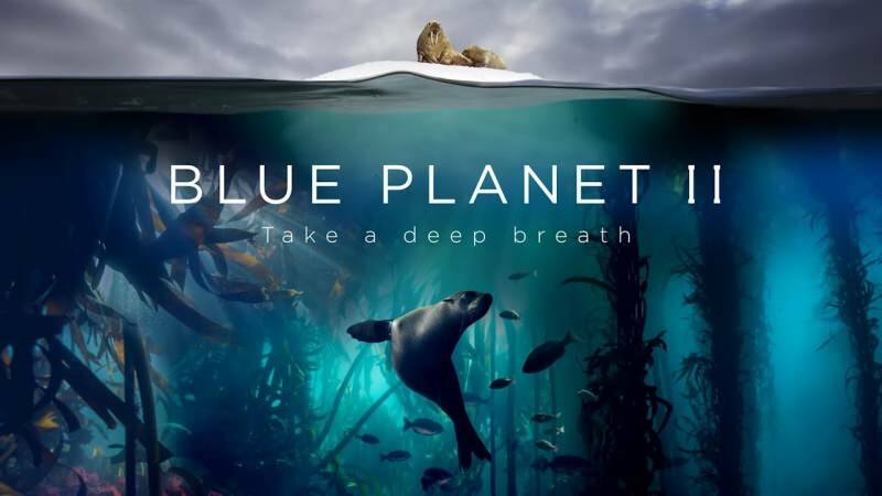 The Blue Planet 1 – 2 / Mavi Gezegen (2001, 2017)