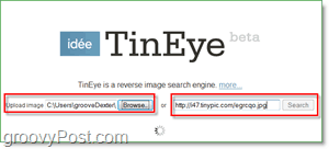 TinEye Screenshot - resimlerinizi kopyalar ve daha büyük versiyonlar için arıyor