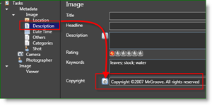 Microsoft Pro Fotoğraf Araçları Fotoğrafçı MetaData Otomatik Telif Hakkı:: groovyPost.com