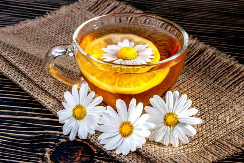 Papatya çayı aç mı tok mu içilir? Papatya çayı ile metabolizma hızlandırma