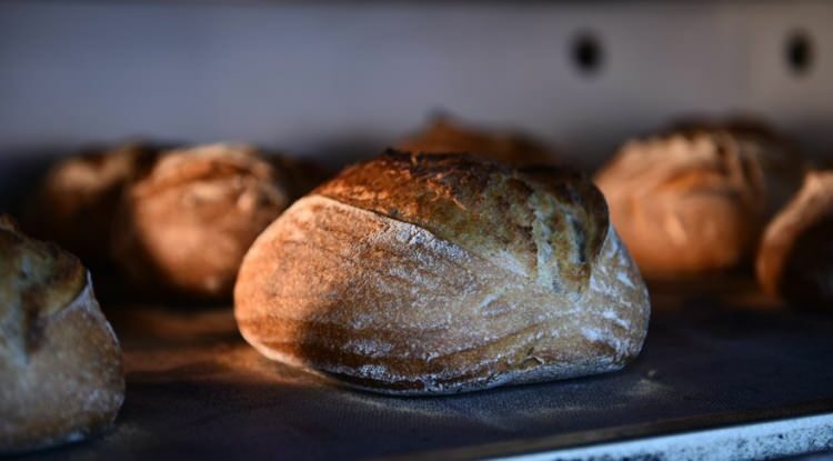 Ekşi mayalı ekmek nasıl yapılır?