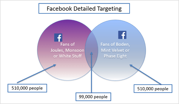 Facebook ayrıntılı hedefleme örneği grafiği