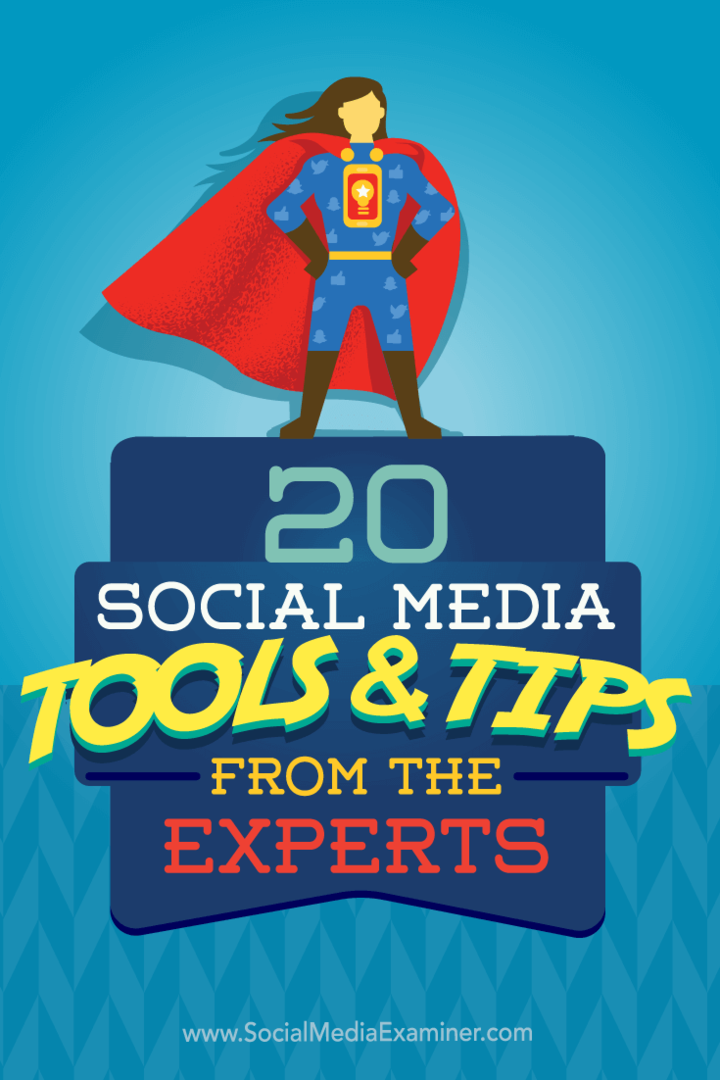 Uzmanlardan 20 Sosyal Medya Araçları ve İpuçları: Sosyal Medya Denetçisi