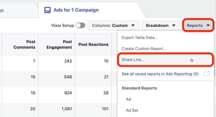 Facebook reklamları özel raporunu paylaş