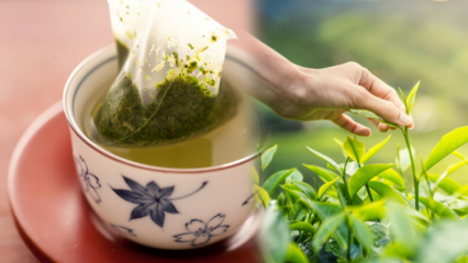 Sallama yeşil çay zayıflatır mı? Poşet çay ile demleme çayın farkı nedir? Gece yatmadan yeşil çay içerseniz...