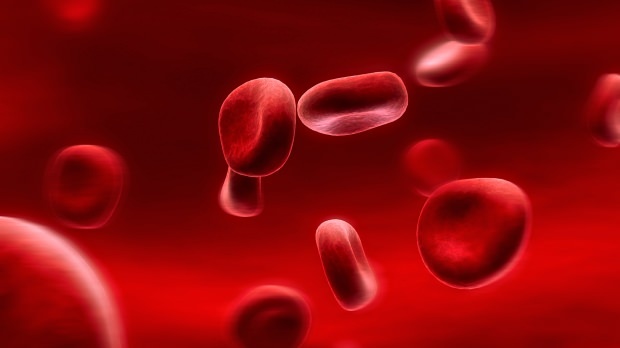 Kan grubu diyeti nedir? Nasıl yapılır?
