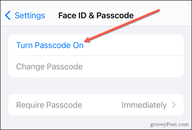 iOS 17 Şifreyi Aç