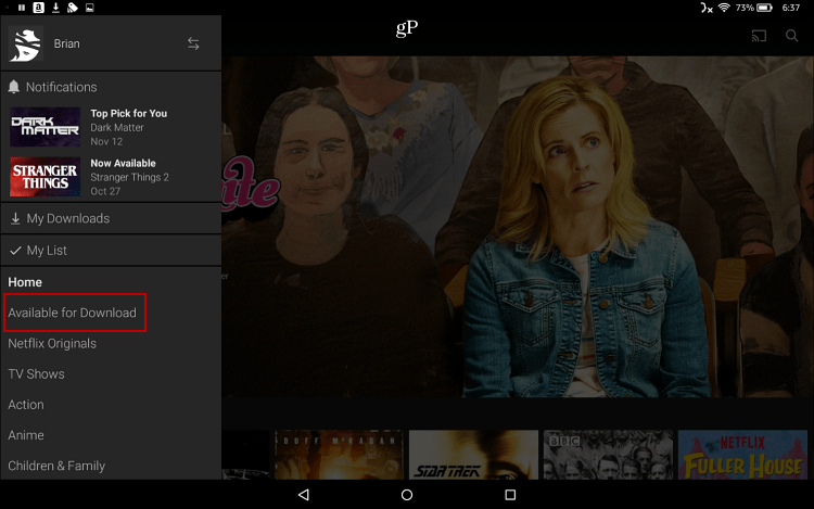 Netflix Fire HD 10'u indirin