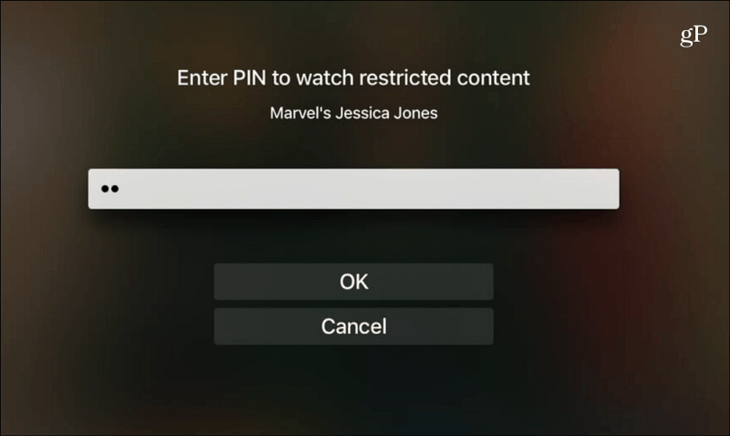 Netflix PIN İzleme Sınırlı İçeriğini Gir