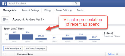 facebook reklam yöneticisi reklam harcama raporları