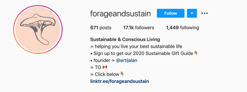 @forageandsustain'dan Instagram profil örneği, profil bilgilerinde bir notla birlikte daha fazlası için biyo bağlantısını tıklayın