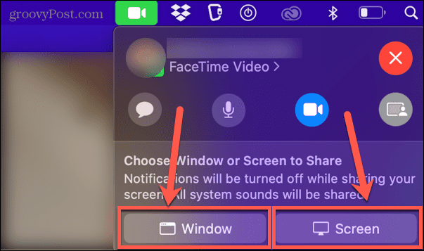 facetime penceresi veya ekran paylaşımı
