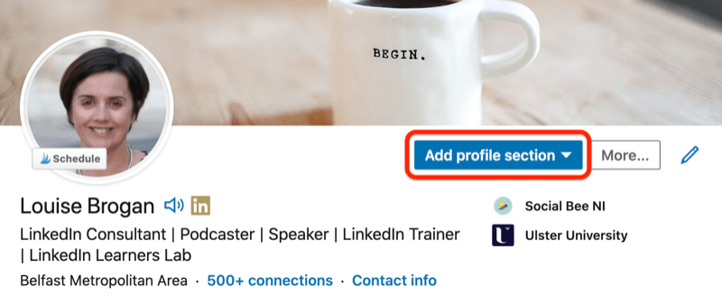 reklam profili bölüm düğmesi vurgulanmış örnek linkedin profili