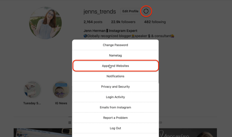 instagram profil dişli simgesi uygulamaları ve web siteleri seçeneğini vurgulayan ayarları düzenle menü seçenekleri