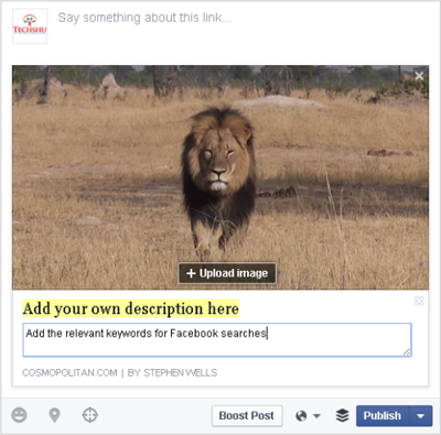 facebook gönderisi örneğinde meta düzenleme