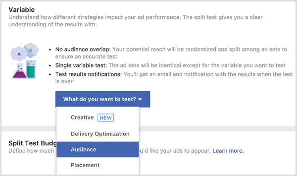 Facebook reklam ayırma testi değişkeni