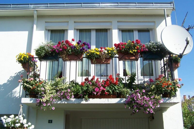 Bahar ayları için balkon dekorasyonu önerileri! Bahar ayı çiçekleri isimleri